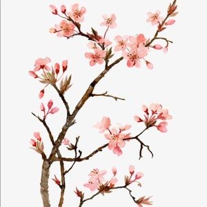 🤍bookmark msposas closet by liking this listing🤍